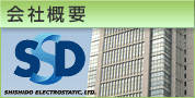 西西蒂经营理念